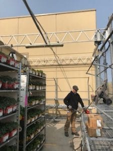 Commercial shelving.