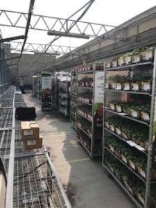Commercial Shelving