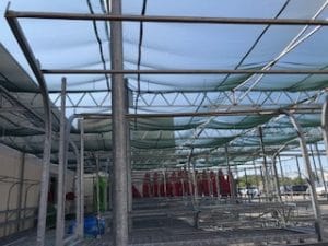 Garden Centre Screens