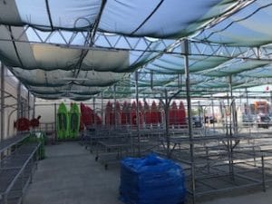 Garden Centre Screens