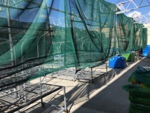 Garden Centre Screens