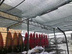 Garden Centre Canopy