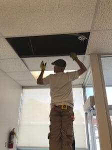 Ceiling tiles.
