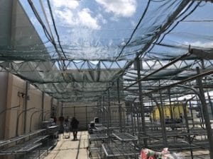 Garden Centre Canopies